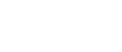 The Web Node INC